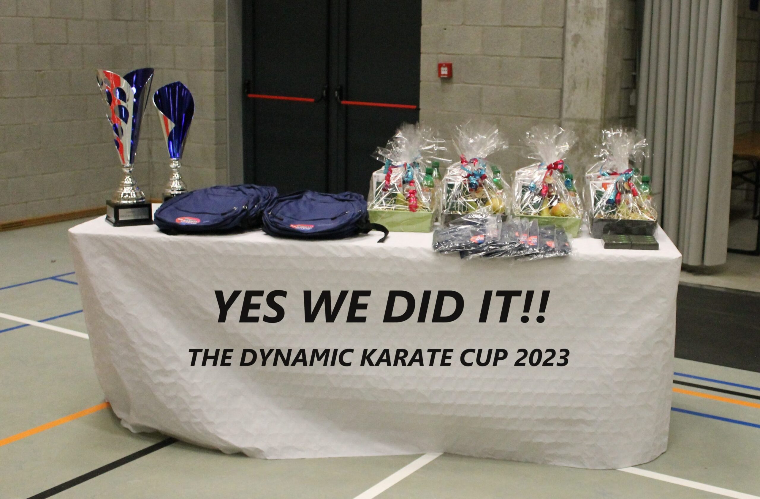The Dynamic Cup 2023